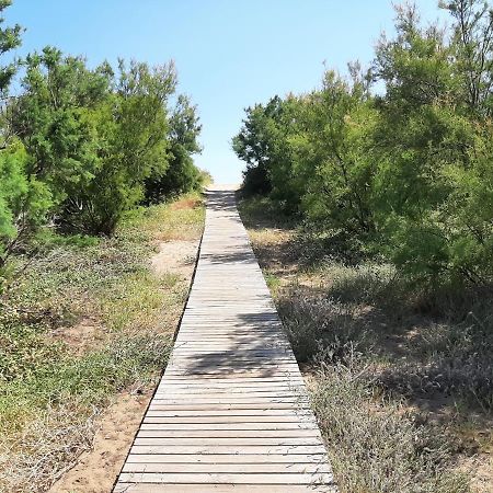 Adosadito Playa 올리바 외부 사진
